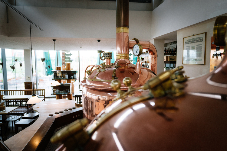 Die Abbildung zeigt eine Brauanlage mit großen kupfernen Kesseln und Rohren. Im Hintergrund sind Sitzbereiche und Regale zu sehen, die die Innenarchitektur einer Brauerei darstellen. Tageslicht strömt durch große Fenster, die eine helle Atmosphäre schaffen.