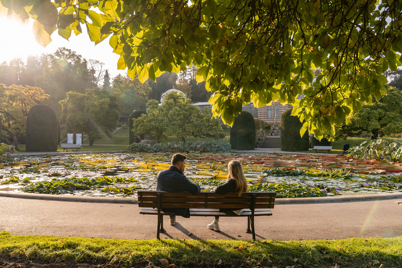 Ein Paar sitzt auf einer Bank in einem Park und blickt auf einen Teich, der mit Seerosen bedeckt ist. Die Sonne scheint, und die Umgebung zeigt Bäume und Pflanzen, die den romantischen Moment unterstreichen.